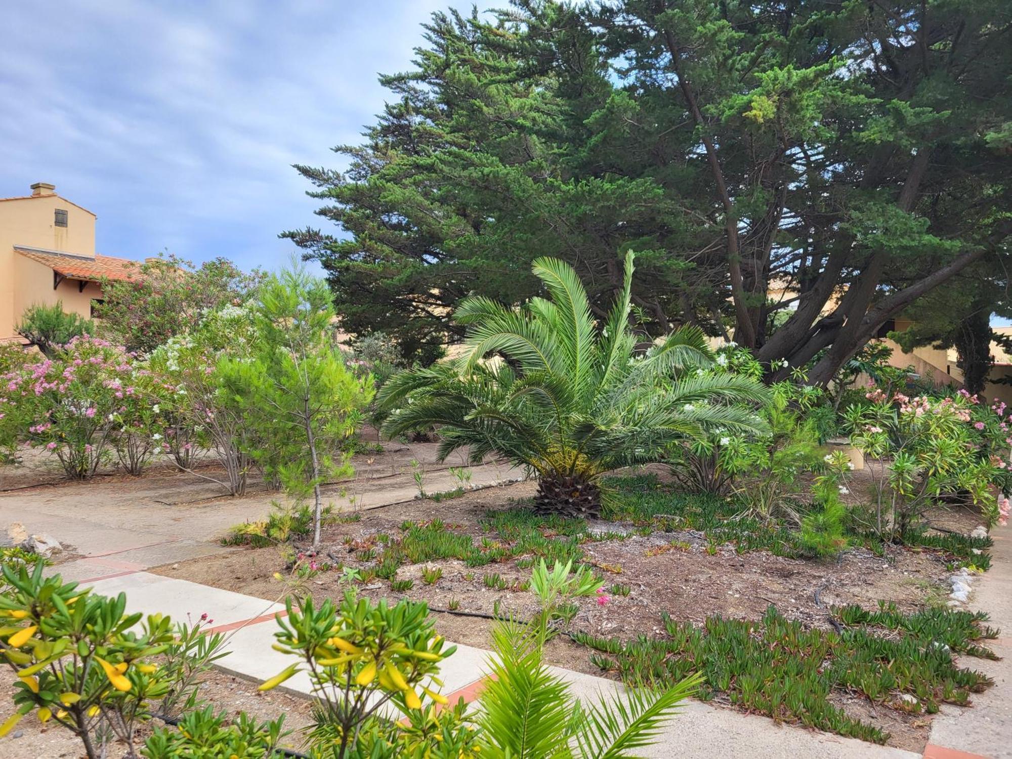 Appartement 6 pers au bord de la méditerranée Leucate Extérieur photo